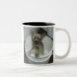 Dog Kaffeehaferl