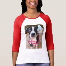 Dog Tshirts