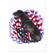 Dogge-Patriot Postkarte