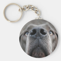Doggennase Schlüsselanhänger