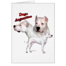 Dogo Argentino Trio 2 Grußkarte