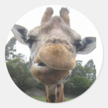 Doof Giraffe Runde Aufkleber