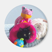 Doof schwarze Katze, die in angefüllten Spielwaren Magnete
