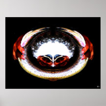 Doppelte Vision Plakatdrucke