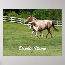 DOPPELTE VISIONS-STUTE UND FOHLEN-PLAKAT