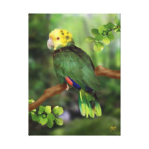 Doppelter Yellowhead Amazonas Papagei Leinwand Drucke