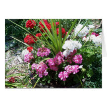 Dorothys Blumen-Garten Karte