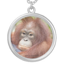 Dr. Ann, Orang-Utan von OFI Halskette