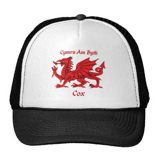 Drache Cox Waliser Mützen
