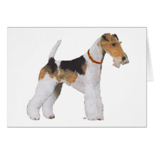 Draht-Foxterrier Karte