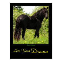 Dreamin Rind-Postkarte