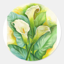 Drei Cala-Lilien malend - multi Aufkleber