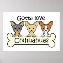 Drei Chihuahua Posterdrucke