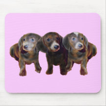 Drei Dackel-Hunde Mousepad