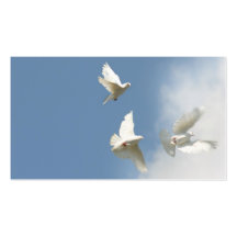 Drei fliegende Tauben Visitenkarten Vorlagen