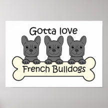 Drei französische Bulldoggen Plakatdruck