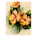 Drei goldene Blumen Postkarten