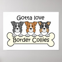Drei GrenzCollies Plakat