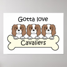 Drei Kavalier-König Charles Spaniels Poster