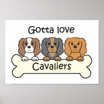 Drei Kavalier-König Charles Spaniels Poster