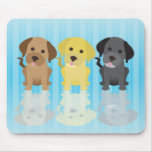 Drei Labrador-Retriever Mousepads