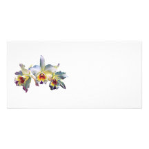 Drei weiße Orchideen Photo Karten Vorlage