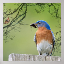 Drossel-Anbieter Posterdruck