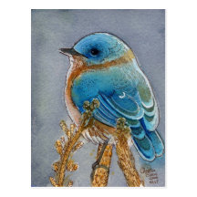 Drossel-Aquarell Postkarte