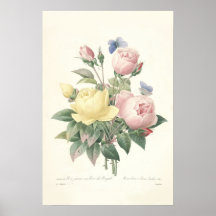 Druck Rose du Bengale Canvas Posterdrucke