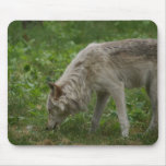 DSC00250 MOUSEPAD
