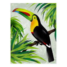 Dschungel Toucan Postkarten