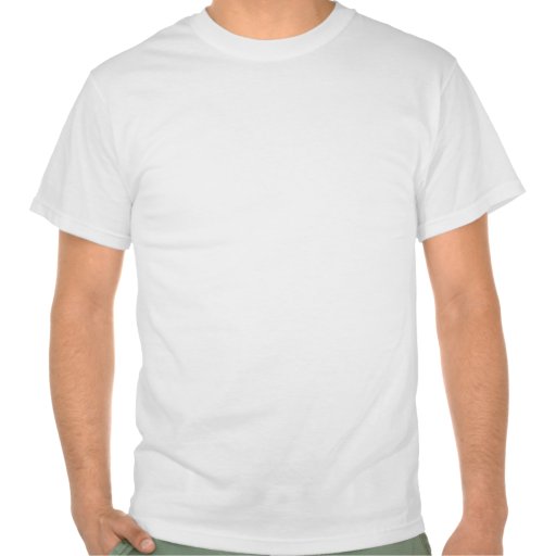 Dubstep FatCap T-shirts