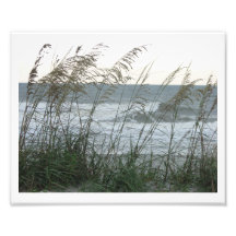 Dunegrass Foto Druck