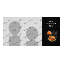 Dunkelgelb - orange Rosen, auf Schwarzem Photokarten