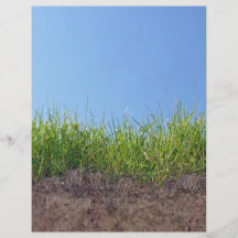 Dunkelgrünes Gras auf trockenem Boden Individuelle Flyer