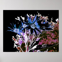 Dunkle Blumen Posterdrucke