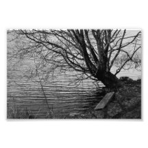 Durch den See Kunst Photo