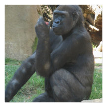 Durchdachte Gorilla-Einladungen