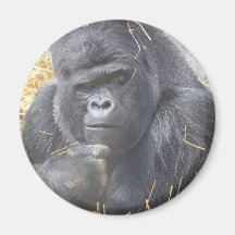 Durchdachter Gorilla-Magnet Kühlschrankmagnete