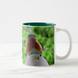 E-Fdrossel-Becher Kaffeetasse