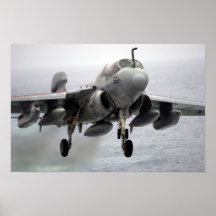 EA-6B Prowler Posterdrucke