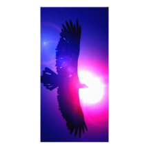 Eagle-Flügel - Eagle im Flug Fotokarten