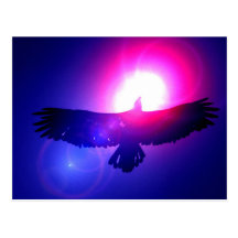 Eagle-Flügel - Eagle im Flug Postkarten