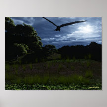 Eagle Posterdrucke