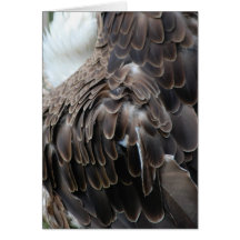 "Eagle versieht" Gruß-Karte mit Federn