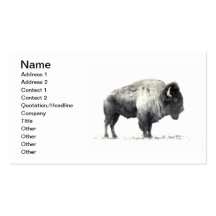 Ebenen-Bison Visitenkarten Vorlagen