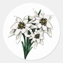 Edelweiss Blumen Runder Sticker