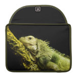 Edle Hülse Leguan-MacBook Pros 13 Sleeves Für MacBooks