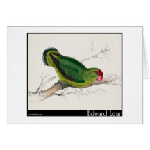 Edward Lear abyssinischer Parakeet Grußkarte