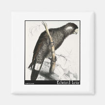 Edward Lear Baudins Cockatoo Magnete